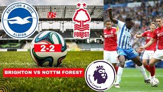 Brighton vs Nottingham Forest 2-2 Live Premier League EPL Football Match Today Score Highlights