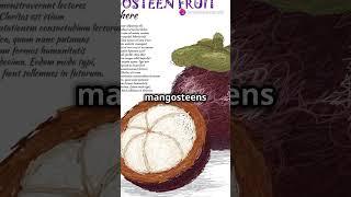 Why Mangosteen is the Queen of Fruits!