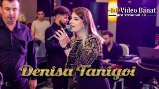 Denisa Tanigoi & AVA Music - Colaj Ardelene 2024 Giorgiana & Razvan