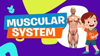 MUSCULAR SYSTEM | Science | Educational Video | Astronomy | Learning Video | Crash Course