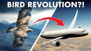 Are BIRDS the KEY to the Future of Aviation?!