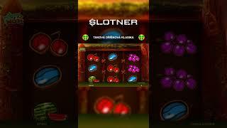 ️ HAPPY NUTS BONUS ️ #happynuts #slotner #apollogames #kasino #slot #shorts