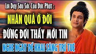 Lời Phật Dạy : Nhân Quả Ở Đời Đừng Đợi Thấy Mới Tin | Đừng Để Đau Khổ Mới Buông Bỏ