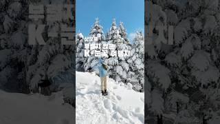 비행기값 70만원 절약하는 법 k 눈꽃명소 #국내여행 #설경 #겨울여행 #눈꽃 #눈꽃산행