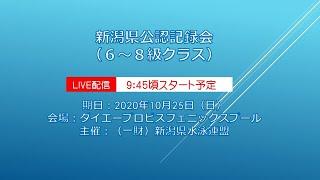 【新潟県水泳連盟】公認記録会６～８級