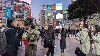 【高画質FHDお散歩ライブカメラ】クリスマスイブの渋谷　ナイトウォーク　Shibuya night walk【live camera】2024/12/20