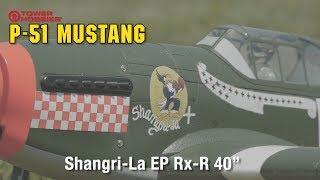 Tower Hobbies P-51B Mustang Shangri-La EP Rx-R