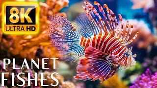 Majestic Ocean Serenity 8K ULTRA HD - Tranquil Sea Life and Coral Reef Wonders