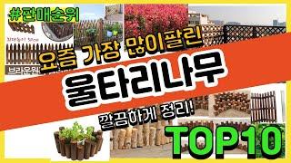 울타리나무 추천 판매순위 Top10 || 가격 평점 후기 비교