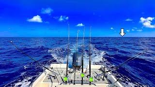 I Took my *24ft* BAY BOAT Fishing 800' DEEP! in the GULF and Caught THIS... [Catch, Clean, Cook]