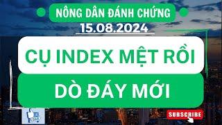 Chứng khoán hôm nay / Nhận định thị trường : Cụ index mệt rồi , cưa chân bàn dò đáy mới