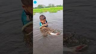  Village Traditional Bamboo Tools Polo Fishing Video 2024 | (part -13)#fish #fishing #shorts #viral