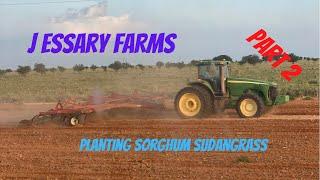 Planting Sorghum Sudangrass: Part 2