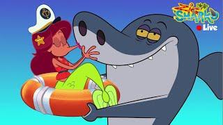 (NEW)  ZIG & SHARKO 3 | LIVE CARTOON  | NEW SEASON & EPISODES