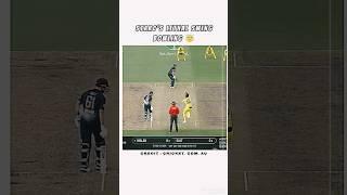 Starc’s  Lethal Swing Bowling vs England #CricketReels #CricketEdits #Sports #Trending#viral#rohit