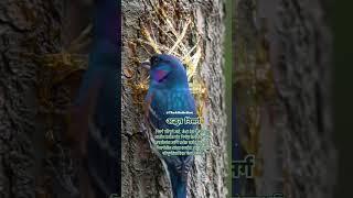 Awesome Nature...#nature #ai #real #bird #birds #birdwatching #art #artist #naturelovers