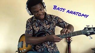 Learn all the parts of the bass guitar - BEGINNERS BASS COURSE