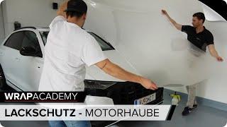 Motorhaube mit Lackschutzfolie folieren #wrapacademy