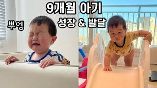 9개월 아기 성장과 발달 한달 기록 | 육아vlog | 찰떡이