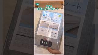 A must-have for the rainy season #Nitori #Nitori products #rainy season #dehumidifying sheet #be...