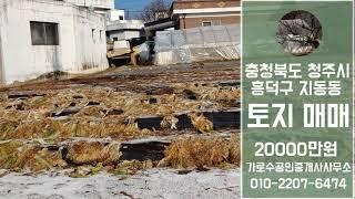 지동동토지매매