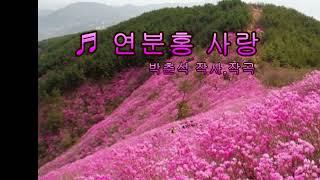 연분홍 사랑 / 정석보(원곡:백남숙)