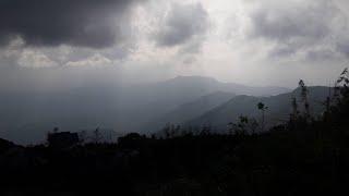Vagamon Tealake  ️| nature | DEVz Media #tbt #shorts #kerala #day #nature #tourism #vagamon #lake