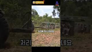 숲을 정리할 때 사용하는 기술 #지식#상식 #과학