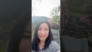 高收入者如何通过IRA和ROTH IRA合法省税