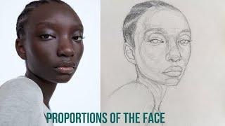 How to draw proportions of the head -how to draw a portrait using Loomis method