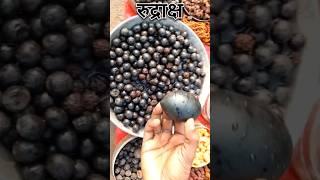 Original Rudraksha | रुद्राक्ष | #sorts  #rudraksha #रुद्राक्ष rudraksha mala