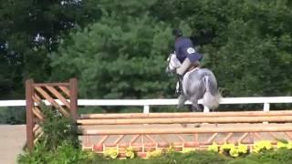 Video of SHAMELESS ridden by JOHN FRENCH from ShowNet!