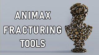 ANIMAX 2.0 - Getting Started - The Fracturing Tools