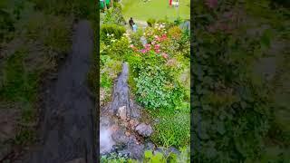 beautiful nature #everyone #nuture_viral_reels for you please subscribe the channel 