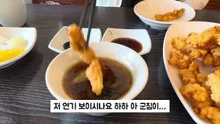 달봉이의 휴일 Vlog