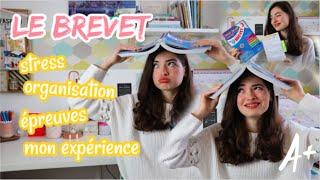 LE BREVET // organisation, stress, épreuves, oral, vos questions, mes résultats, astuces