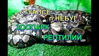 ЗООПАРК РЕПТИЛИЙ п.НЕБУГ г.ТУАПСЕ