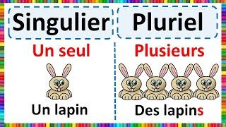 Grammar - Learn the Singular and the Plural in French