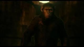 Dawn of the Planet of the Apes 2014 Ending