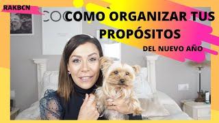 COMO ORGANIZAR TUS PROPOSITOS de año nuevo (y los míos propios)