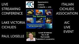 PAUL LOISELLE *The Survivors* THE HAPLOCHROMINE CICHLIDS OF THE LAKE VICTORIA BASIN*AIC EVENT LIVE*