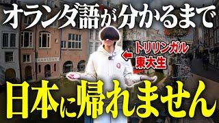 【検証】東大生なら急に海外に放置されても大丈夫説【そんなわけあるか】