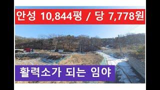 안성 10,844평 / 당 7,778원 (활력소가 되는 임야)