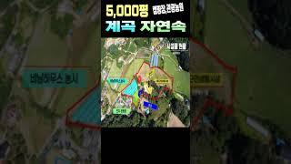 초급매로 팝니다! 5,000평이 넘는 계곡땅 #shorts