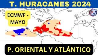 Temporada de Huracanes 2024 - Actualización de Mayo ECMWF