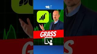 What Is GRASS? The WiFi Crypto Project Explained 