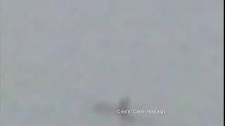 Strange creature caught on camera on Lake Michigan