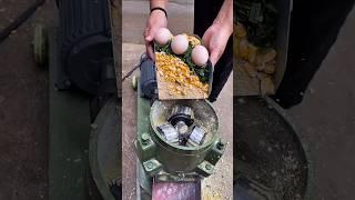 Magic Machine Turns Waste into Livestock Feed! #Innovation #EcoFriendly #FarmingTech