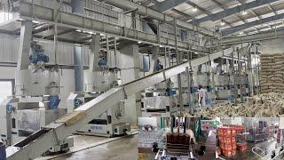 50 TPD Mustard Oil Mill Plant installed on Turnkey Basis in India by Goyum Group