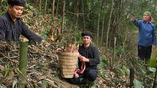 A Pao went to find bamboo shoots to sell today and found wild vegetables?